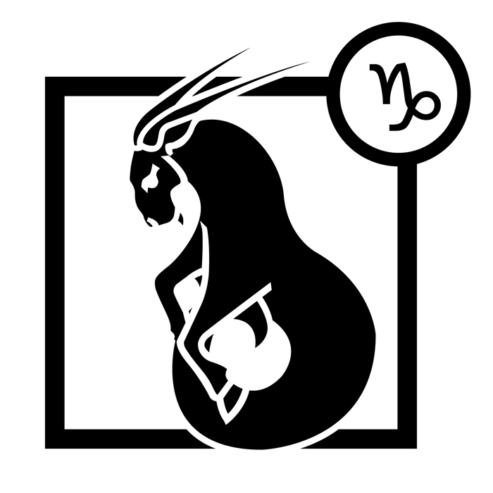 Sterrenbeeld december steenbok